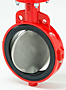 Bray Series 20/21 Butterfly Valve Image
